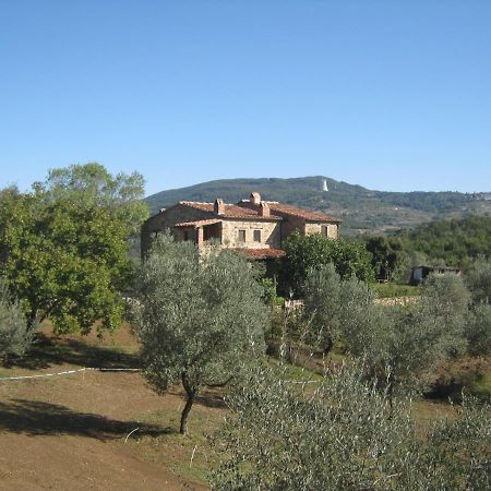Sport Bikes And Nature Monterotondo  Dış mekan fotoğraf