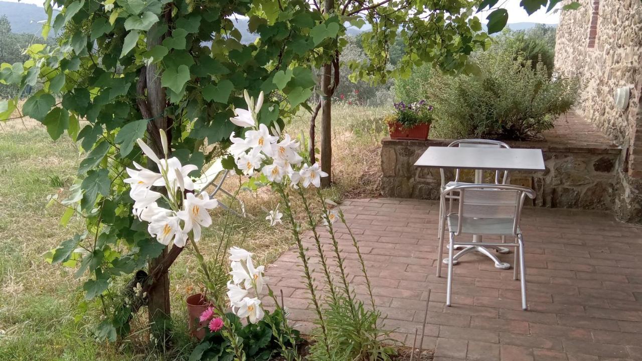 Sport Bikes And Nature Monterotondo  Dış mekan fotoğraf